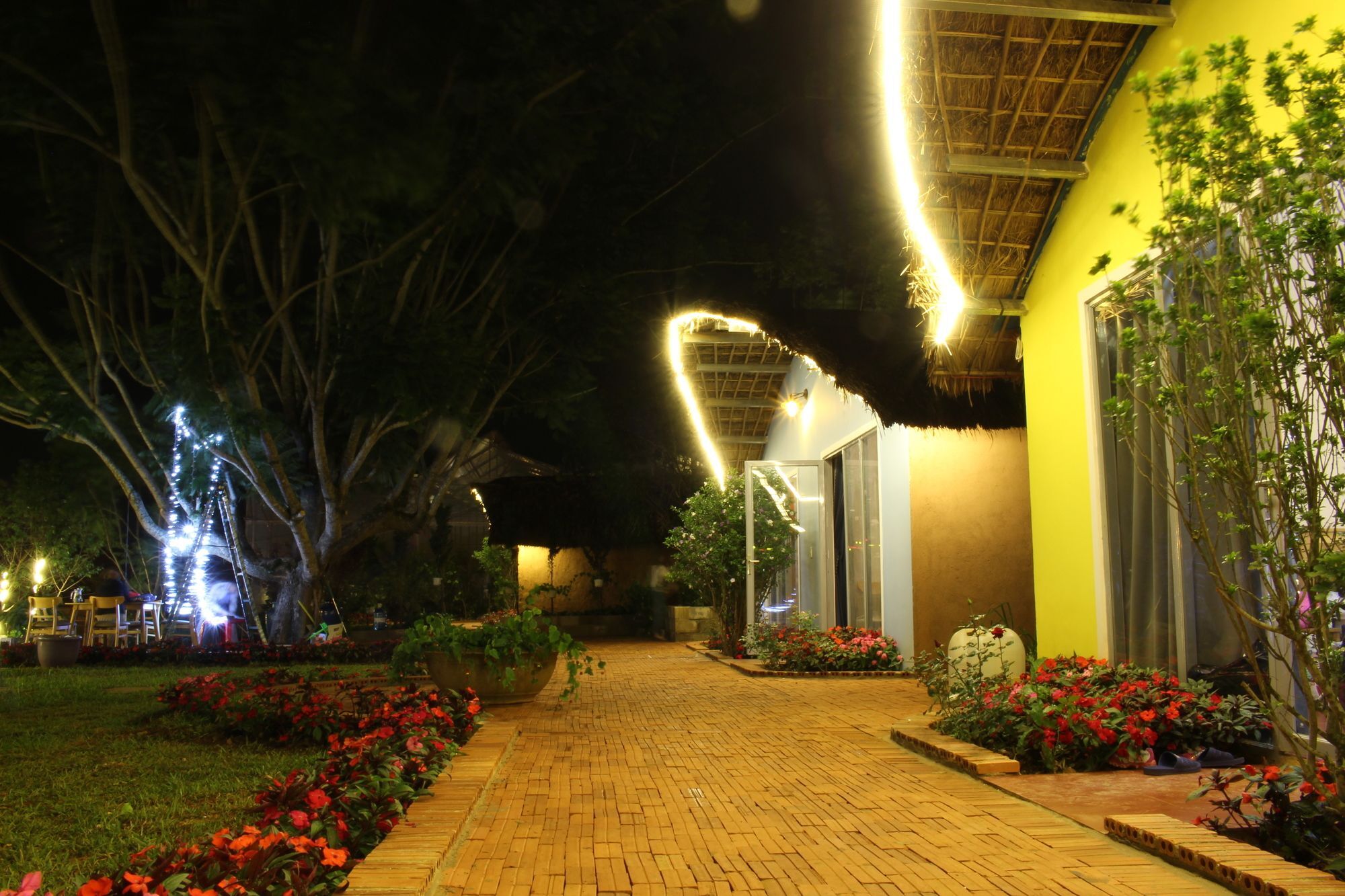 Cocoon Bungalow Đà Lạt Extérieur photo